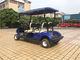 Wielofunkcyjny wózek elektryczny Utility, Cub Cadet Wózek golfowy Eco Friendly dostawca