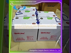 Akumulator samochodowy z ołowiem 6V 170AH Marshell dla samochodów klubowych części i akcesoria do wózków golfowych