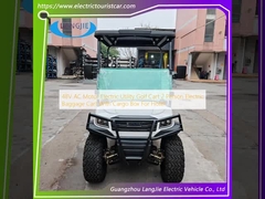 48V AC Motor Electric Utility Golf Cart 2 osoby Elektryczny wózek bagażowy z pudełkiem ładunkowym dla hotelu