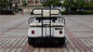 Kompaktowy design Electric Club Car z ADC 3KW Motor HS CODE 8703101900 dostawca