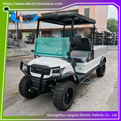 48V AC Motor Electric 2 Seater Golf Buggy Battery Operated Certyfikacja CE dla parku