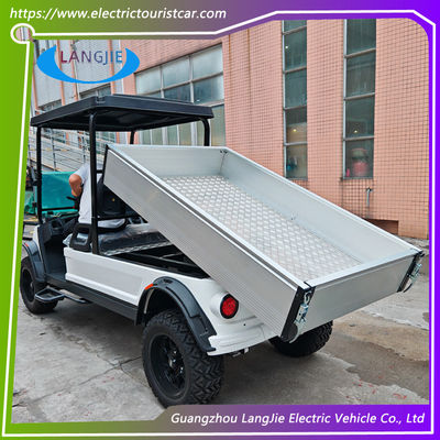 48V AC Motor Electric 2 Seater Golf Buggy Battery Operated Certyfikacja CE dla parku